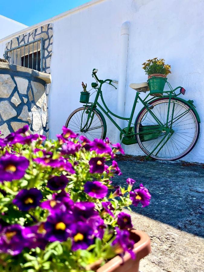 Trullo Bello オストゥーニ エクステリア 写真